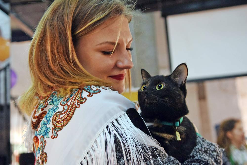 Тыквы и Коты - 2019: кошачий фестиваль для всей семьи возвращается
